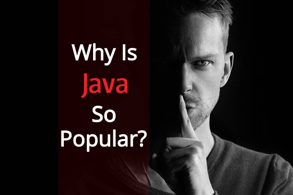 why-is-java-so-popular-after-25-years-comp-sci-central